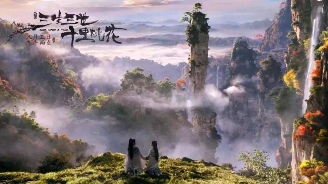 给泰迪洗澡正确的方法